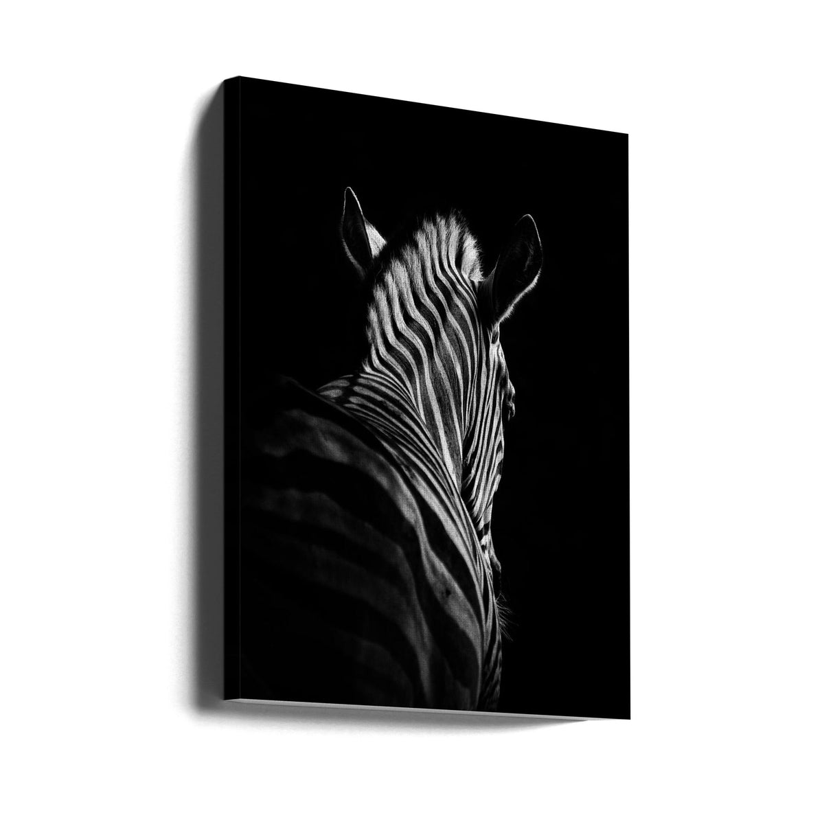 Wildlife Study No. 6 Canvas Art - product image 1