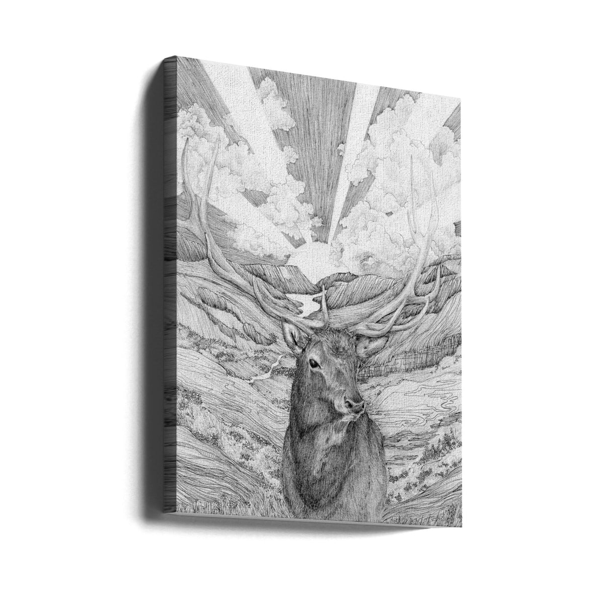 Sunrise Wildlife Canvas Wall Art - product image 1