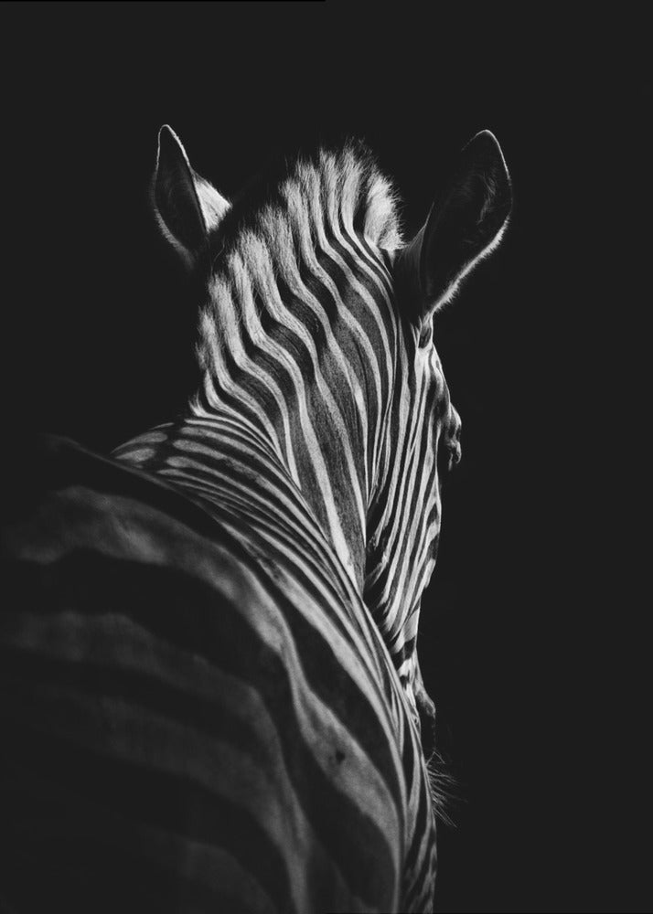 Wildlife Study No. 6 Canvas Art - product image 2